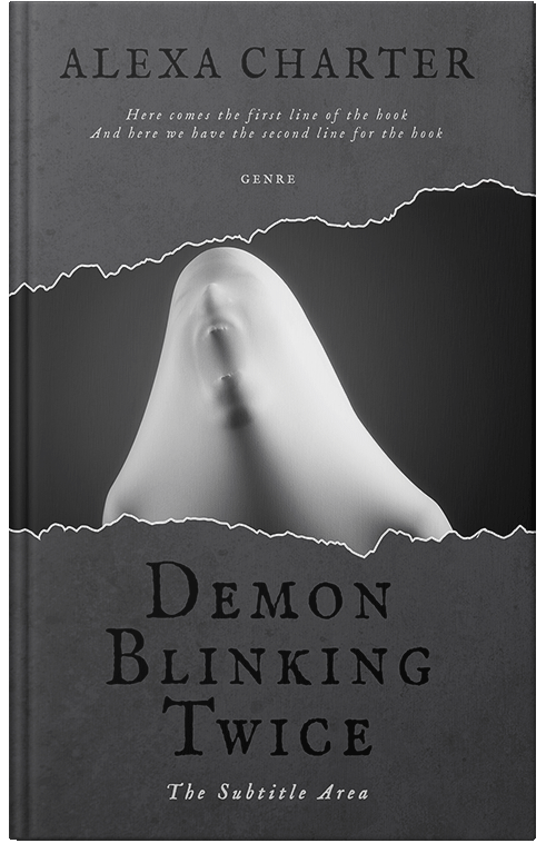 Front view of Premade Teen & Young Adult Book Cover - Ship Gray