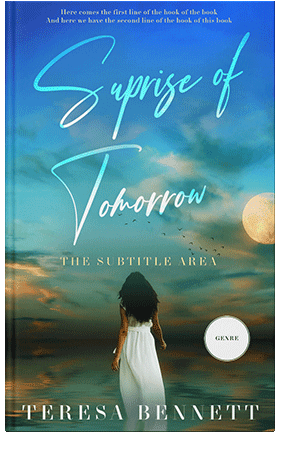 Pre Made Book Cover Boston Blue