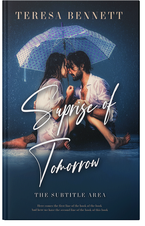 Front view of Premade Erotica Book Cover - Big Stone