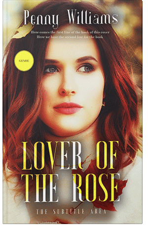 Premade Book Cover Old Copper