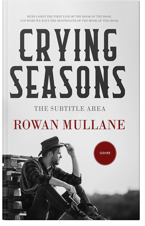 Front view of Premade Romance Book Cover - Gallery