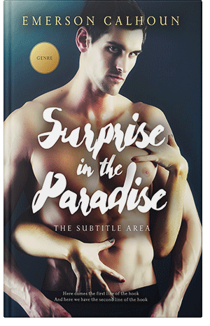 Premade Book Cover Akaroa