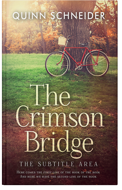 Front view of Premade Literary Fiction Book Cover - Quincy