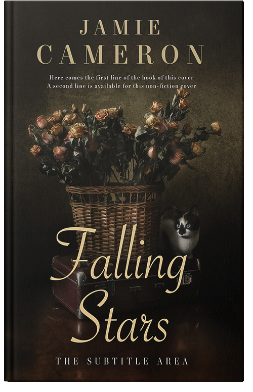 Front view of Eternity #16497 - Premade Poetry Book Cover