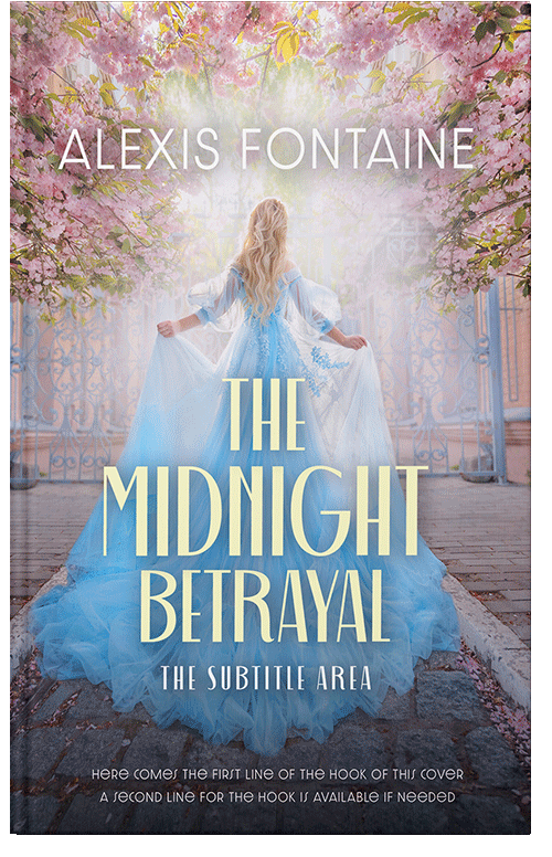 Front view of Premade Fantasy Book Cover - French Gray