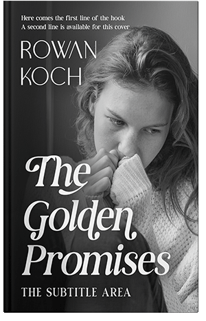 Premade Book Cover Mine Shaft