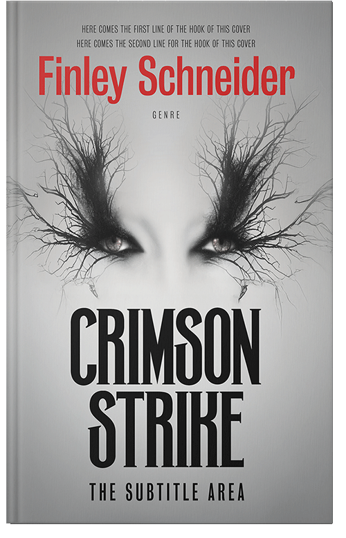 Front view of Premade Fantasy Book Cover - Gray Nickel