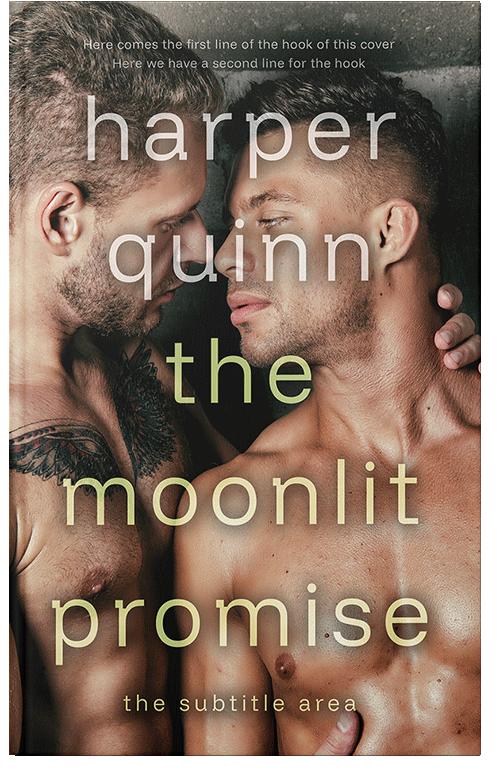 Front view of Premade Erotica Book Cover - Sandal