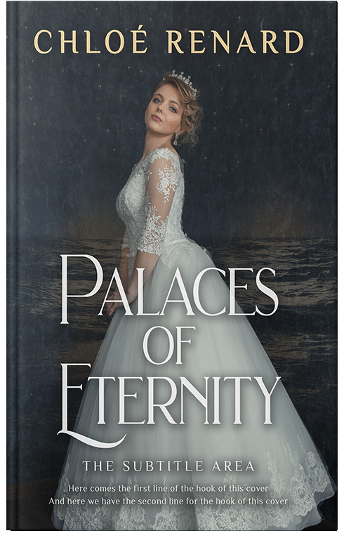 Front view of Premade Fantasy Book Cover - Gray Nickel