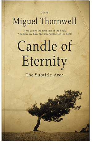 Premade Book Cover Calico