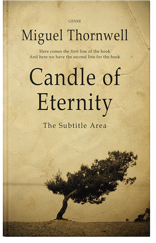 Front view of Premade Poetry Book Cover - Calico