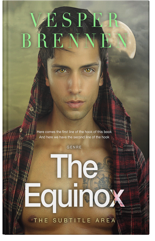 Front view of Premade Erotica Book Cover - Domino