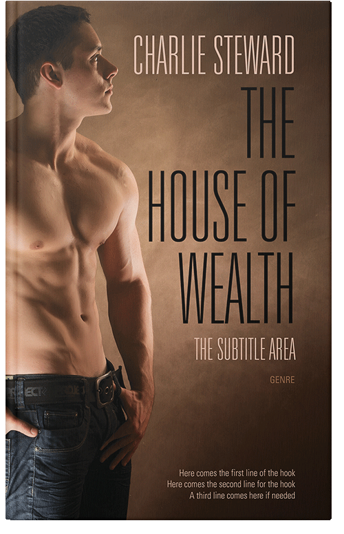 Front view of Premade Erotica Book Cover - Spice