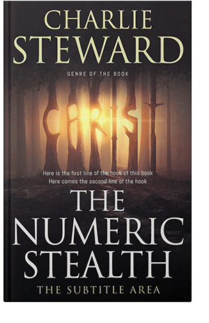 Pre Made Book Cover Straw