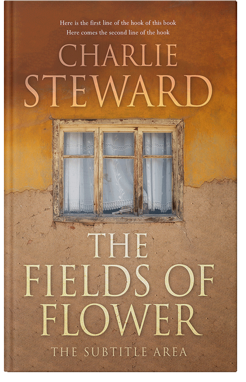 Front view of Premade Literary Fiction Book Cover - Driftwood