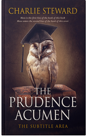 Premade Book Cover Gondola