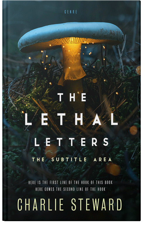 Front view of Premade Fantasy Book Cover - Black