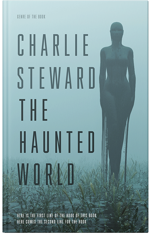 Front view of Premade Horror Book Cover - Gulf Stream