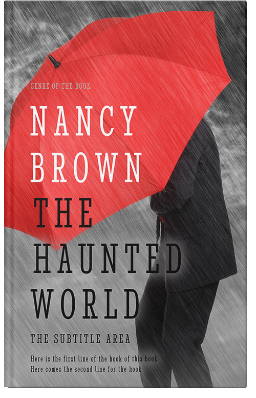 Front view of Premade Literary Fiction Book Cover - Roman