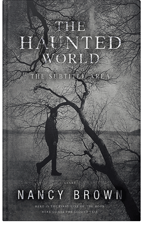 Premade Book Cover Ship Gray