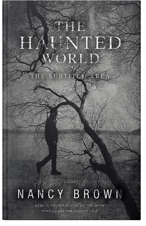 Front view of Premade Mystery & Thriller & Suspense Book Cover - Ship Gray