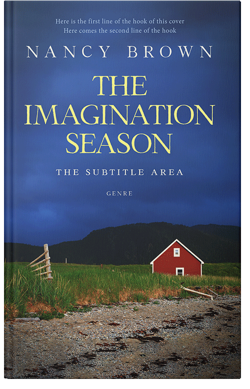 Front view of Premade Literary Fiction Book Cover - Chambray