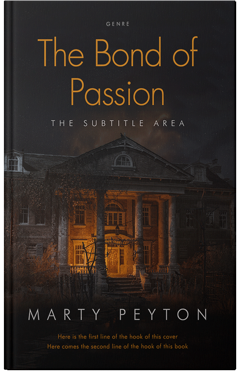 Front view of Premade Mystery & Thriller & Suspense Book Cover - Gondola