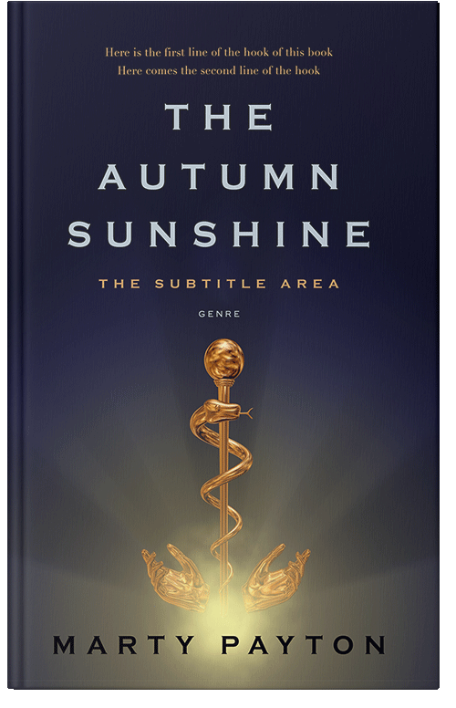 Front view of Premade Fantasy Book Cover - Steel Gray