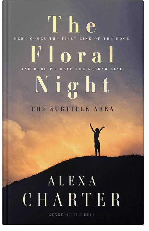 Front view of Premade Self-Improvement & Self-Help Book Cover - Ship Gray