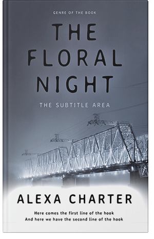 Premade Book Cover Shuttle Gray