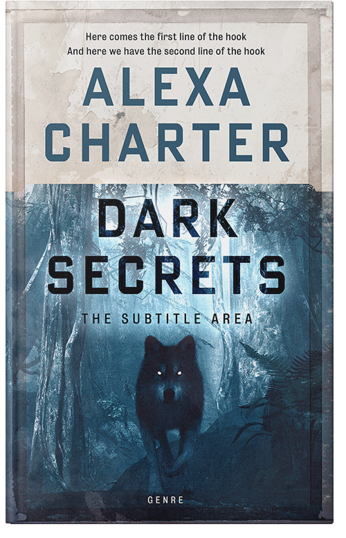 Front view of Premade Fantasy Book Cover - Quill Gray