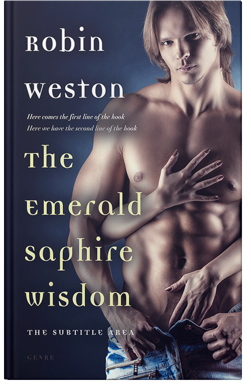 Front view of Premade Erotica Book Cover - Steel Gray