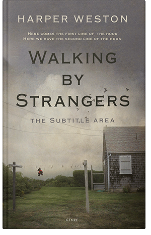 Premade Book Cover Flint