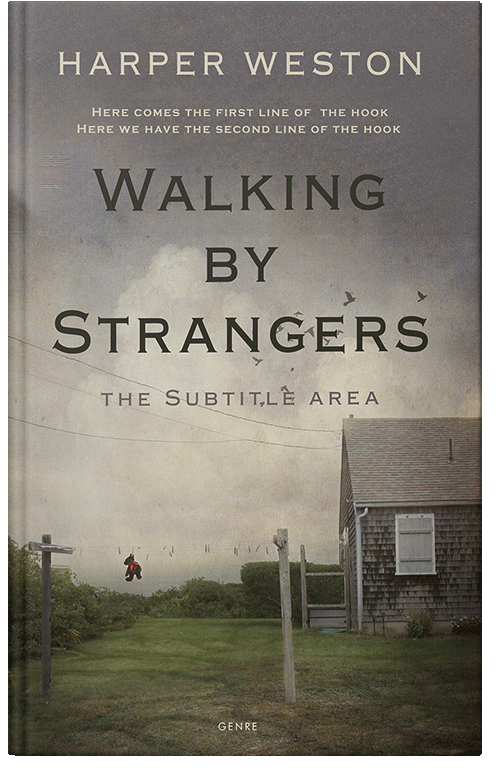 Front view of Premade Literary Fiction Book Cover - Flint