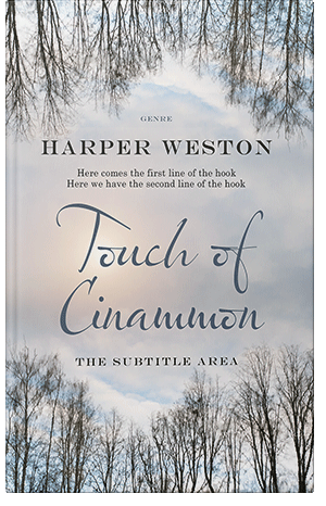 Premade Book Cover Pale Slate