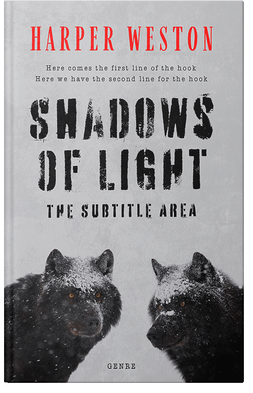 Front view of Premade Mystery & Thriller & Suspense Book Cover - French Gray