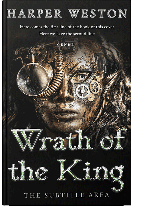 Front view of Bison Hide #23851 - Premade Fantasy Book Cover