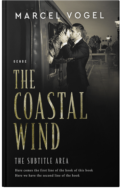 Front view of Cod Gray #24250 - Premade Romance Book Cover