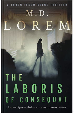 Pre Made Book Cover Eagle