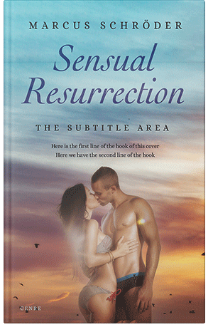 Premade Book Cover Gray Chateau