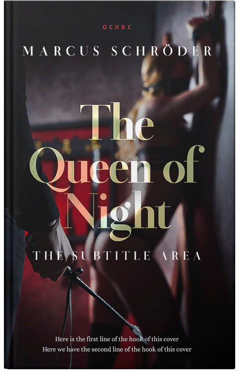 Front view of Premade Erotica Book Cover - Gondola