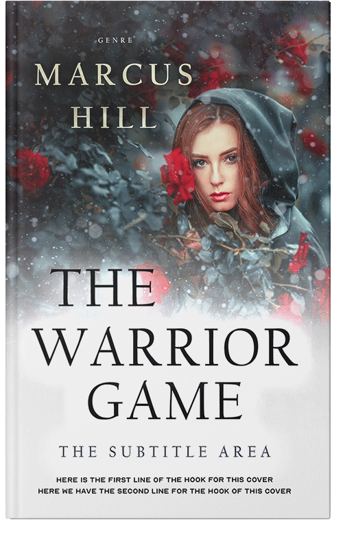 Front view of Premade Fantasy Book Cover - Ship Gray