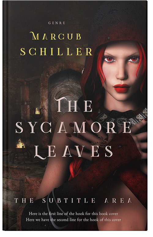 Front view of Premade Fantasy Book Cover - Gondola