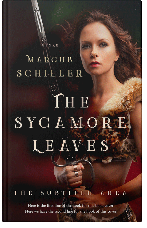 Front view of Premade Fantasy Book Cover - Asphalt