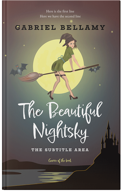 Front view of Premade Chick Lit Book Cover - Chicago