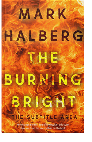 Pre Made Book Cover Christine