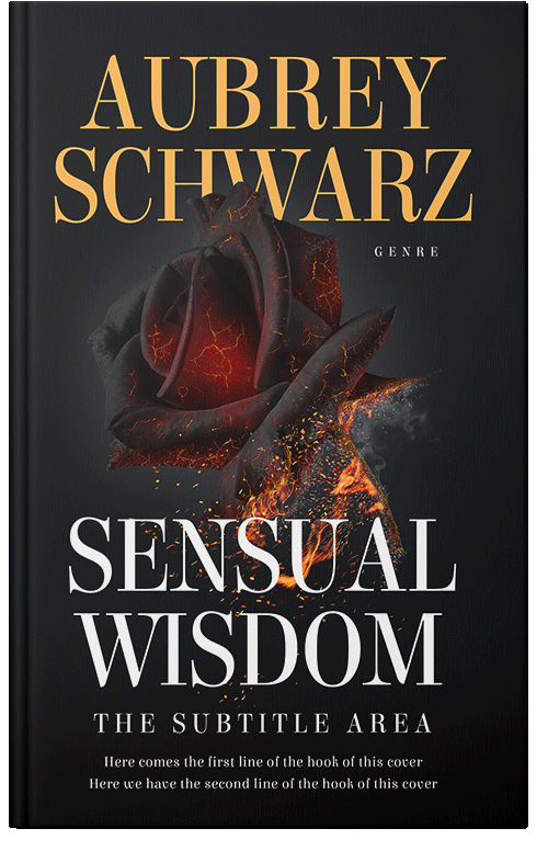 Front view of Premade Romance Book Cover - Thunder