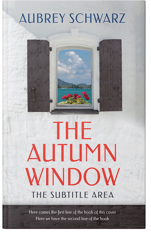 Front view of Premade Literary Fiction Book Cover - Ship Gray