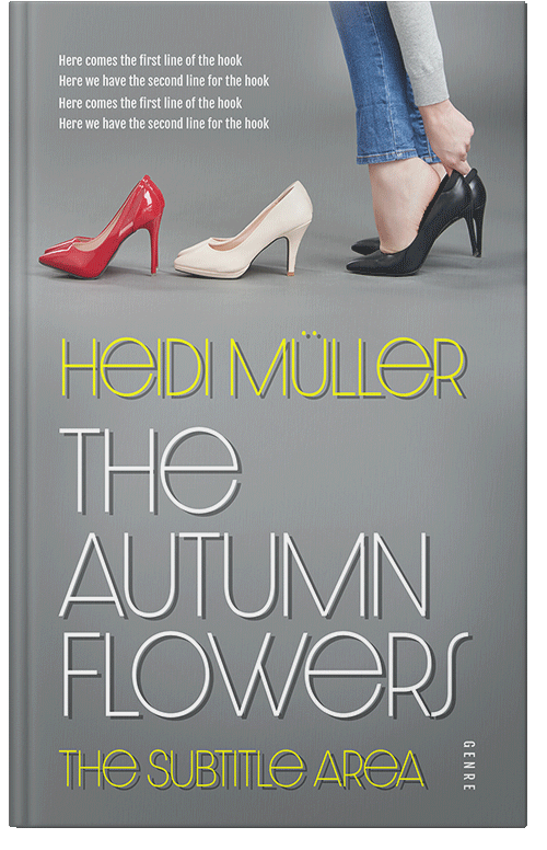 Front view of Premade Chick Lit Book Cover - Oslo Gray