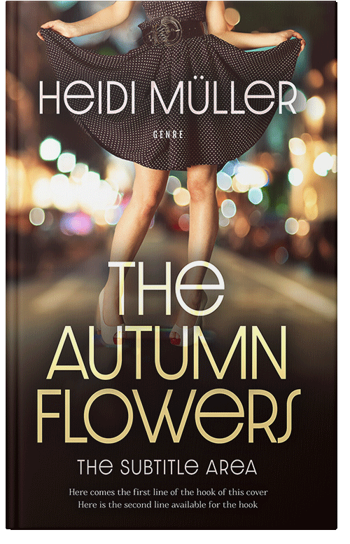 Front view of Premade Erotica Book Cover - Brandy